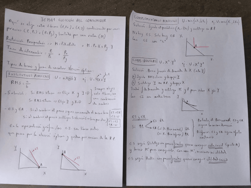 Miniatura del documento MICRO-TEMA-1.jpg
