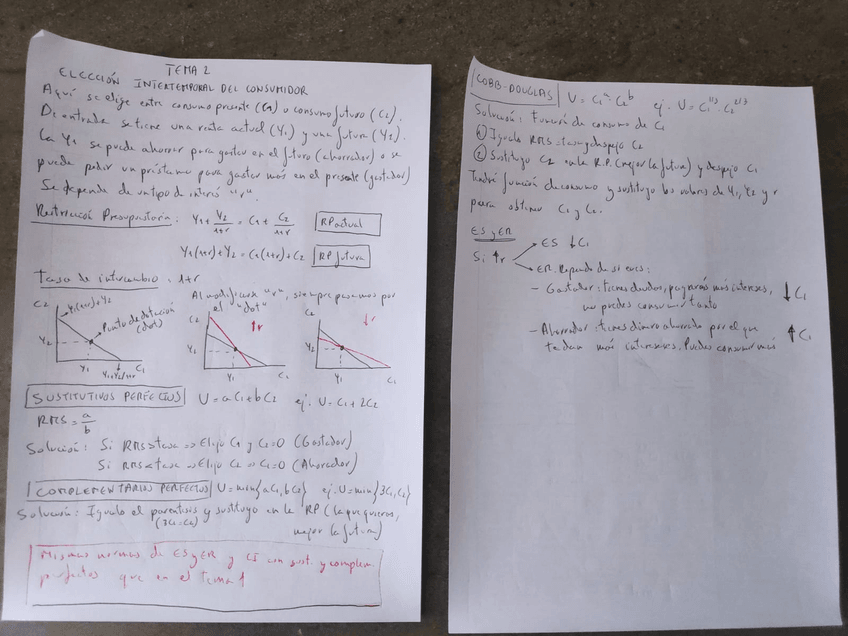 Miniatura del documento MICRO-TEMA-2.jpg