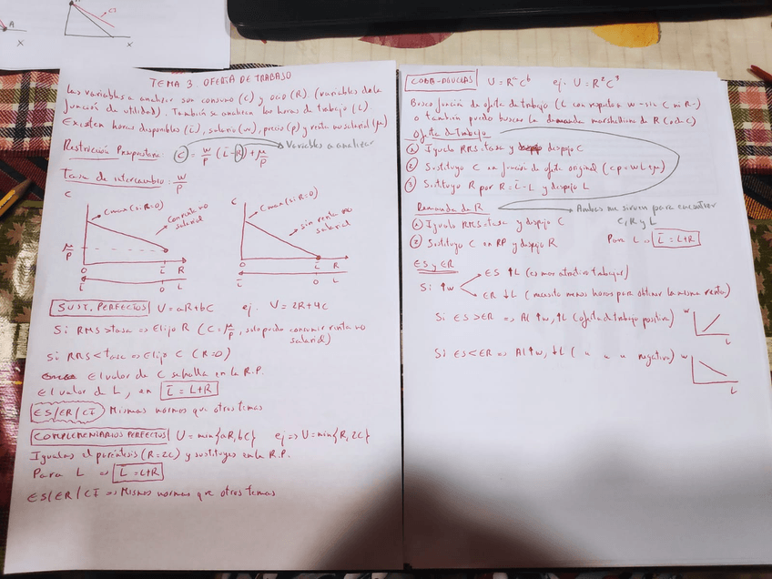 Miniatura del documento MICRO-TEMA-3.jpg