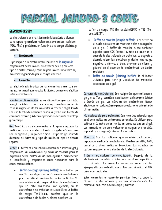 Miniatura del documento Resumen-jadrix.pdf