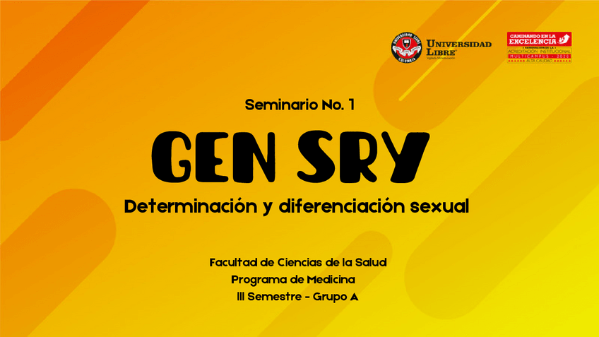 Miniatura del documento SEMINARIO.pdf