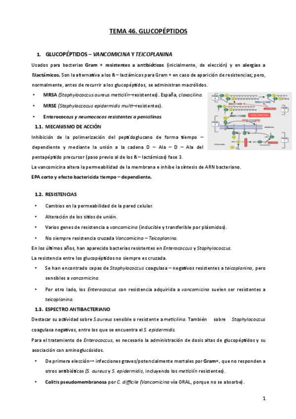 Miniatura del documento TEMA-46-GLUCOPEPTIDOS.pdf