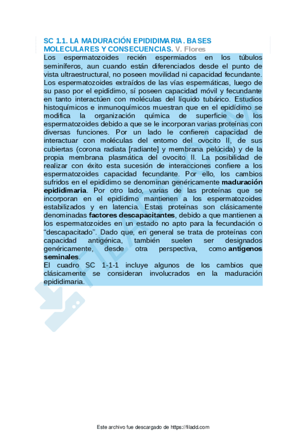 Miniatura del documento Sintesis-conceptuales-del-capitulo-1.pdf