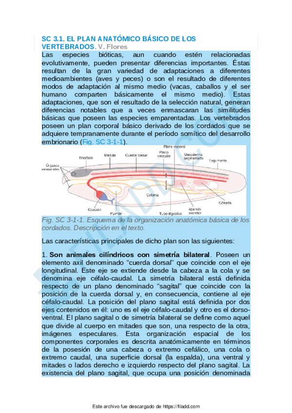 Miniatura del documento Sintesis-conceptuales-del-capitulo-3.pdf