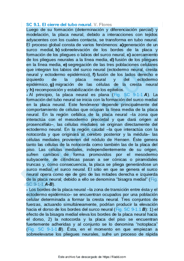 Miniatura del documento Sintesis-conceptuales-del-capitulo-9.pdf
