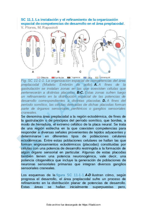 Miniatura del documento Sintesis-conceptuales-del-capitulo-11.pdf