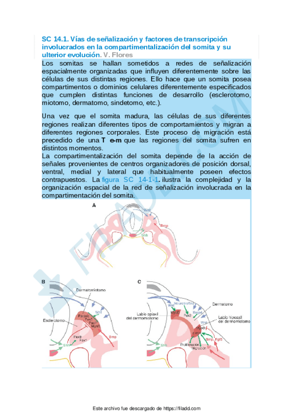 Miniatura del documento Sintesis-conceptuales-del-capitulo-14.pdf