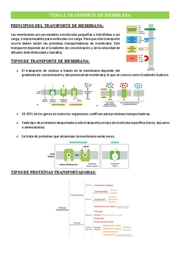 Miniatura del documento Tema-2-Transporte-de-membrana.pdf