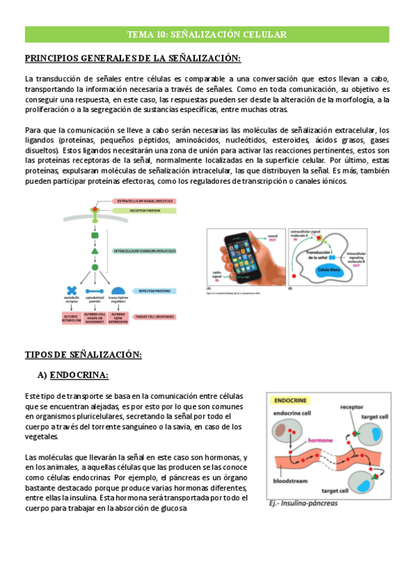 Miniatura del documento Tema-10-Senalizacion-Celular.pdf