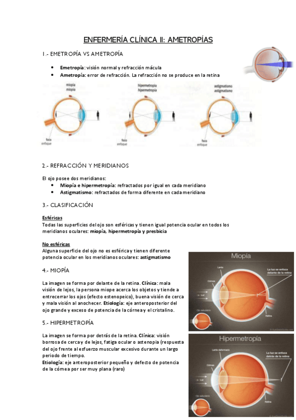 Miniatura del documento AMETROPIAS.pdf
