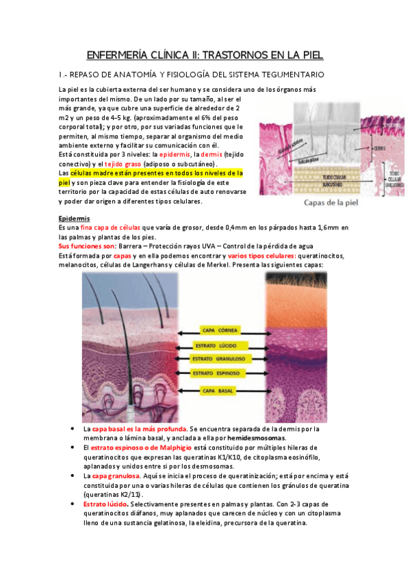 Miniatura del documento TRASTORNOS-EN-LA-PIEL.pdf