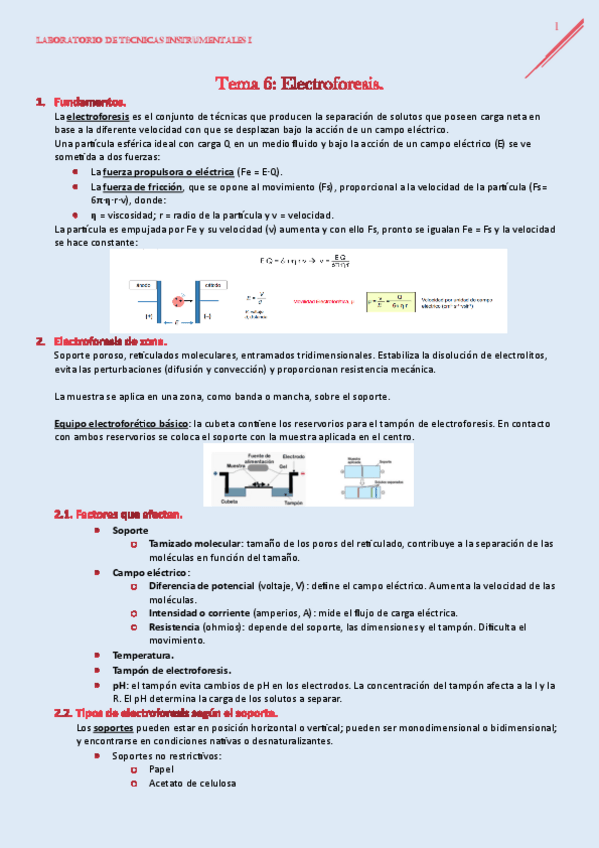 Miniatura del documento LAB-I-TEMA6.pdf
