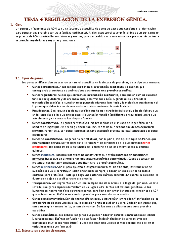 Miniatura del documento GENETICA-TEMA-4.pdf