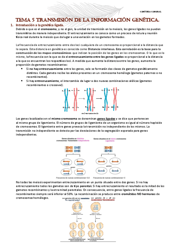 Miniatura del documento GENETICA-TEMA-5.pdf