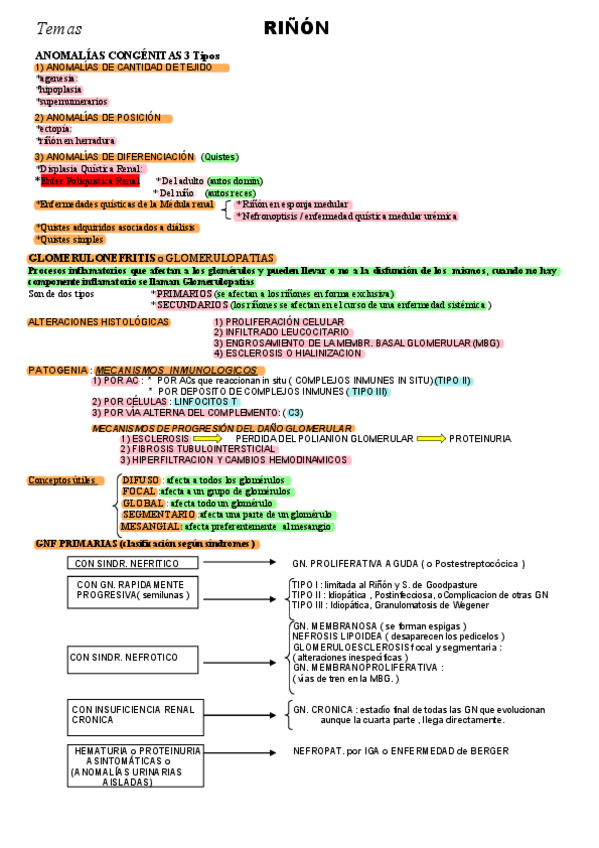 Miniatura del documento Tema-11-rinon--Ap-Masculino-HOHA-CHICA.pdf