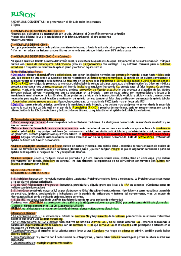 Miniatura del documento Tema-11-RINON-hoja-grande-CON-COLOR.pdf