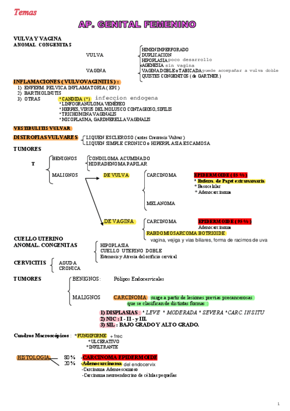 Miniatura del documento Tema-13-Hoja-chica-femenino-mama-sin-color.pdf