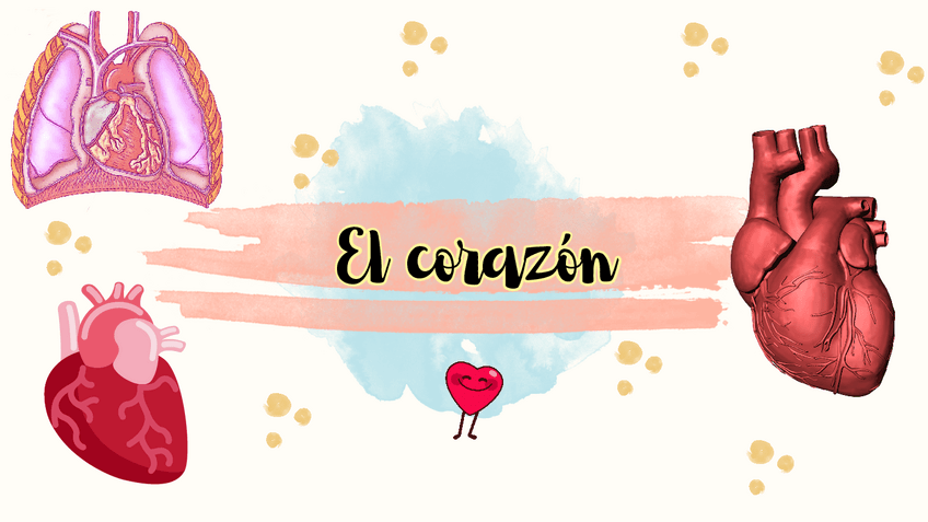 Miniatura del documento El-corazon.pdf