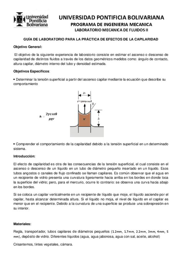Miniatura del documento Practica-Capilaridad.pdf
