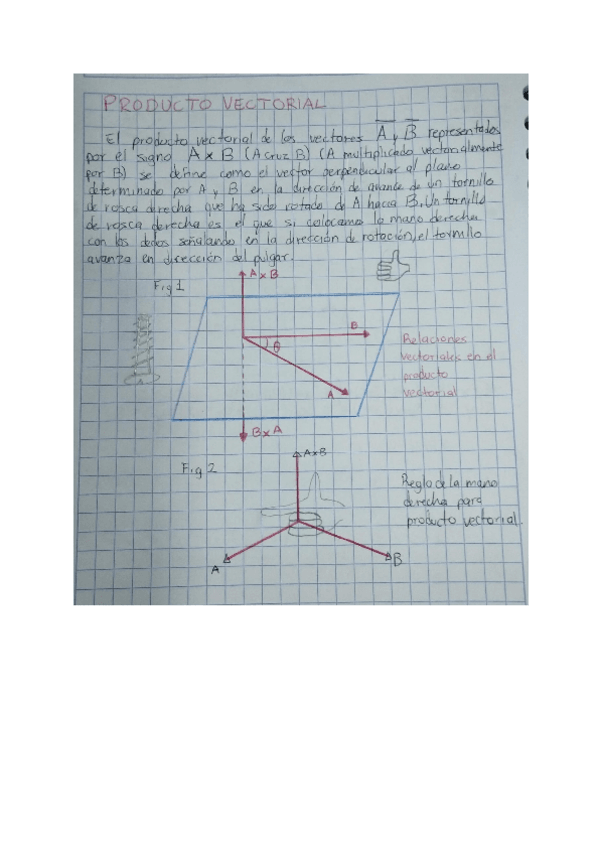 Miniatura del documento PRODUCTO-DE-VECTORES.pdf