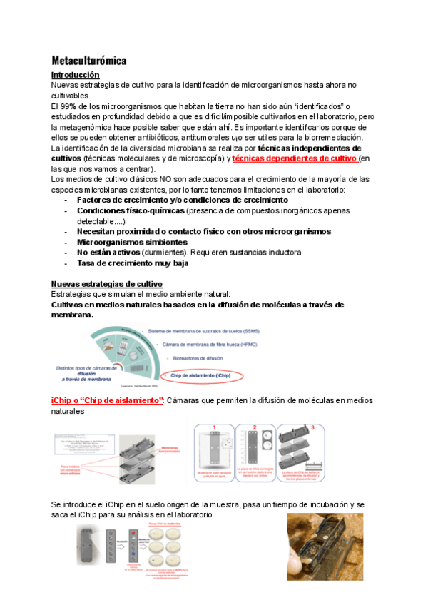 Miniatura del documento Seminario-8-Metaculturomica.pdf