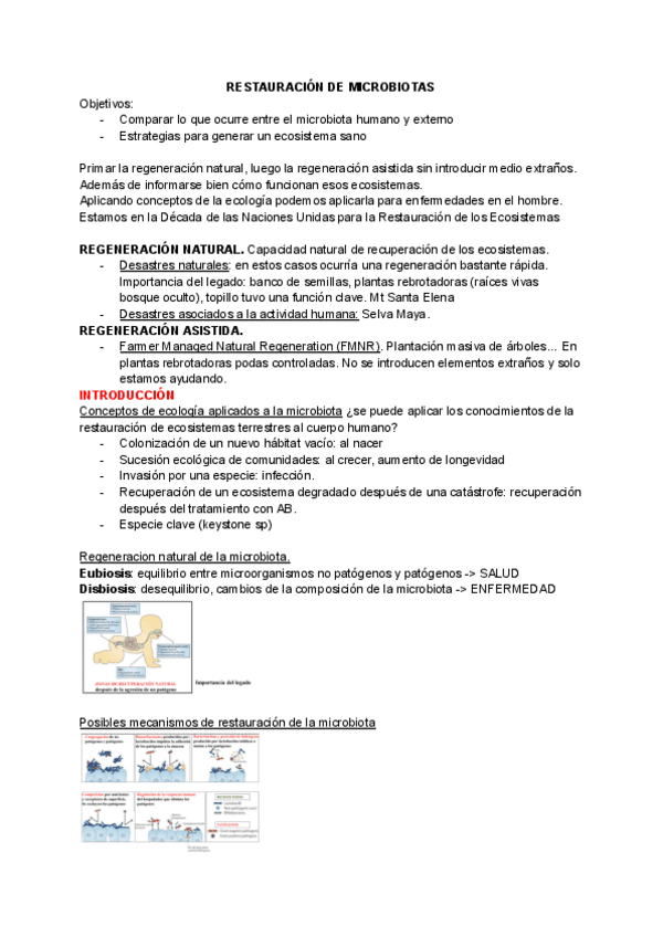 Miniatura del documento Seminario-11-Restauracion-de-microbiotas.pdf