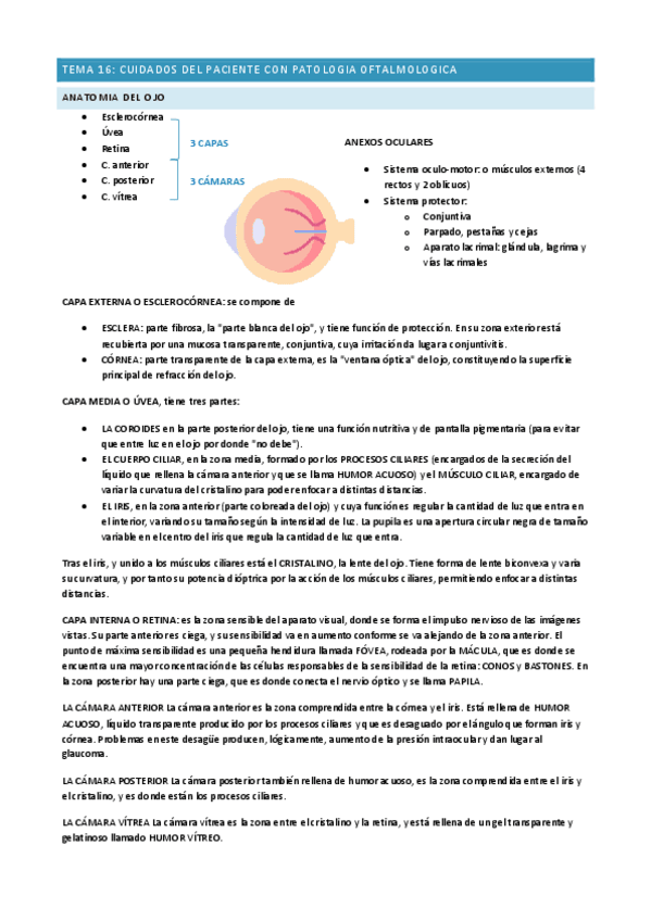 Miniatura del documento T16-EA-II.pdf