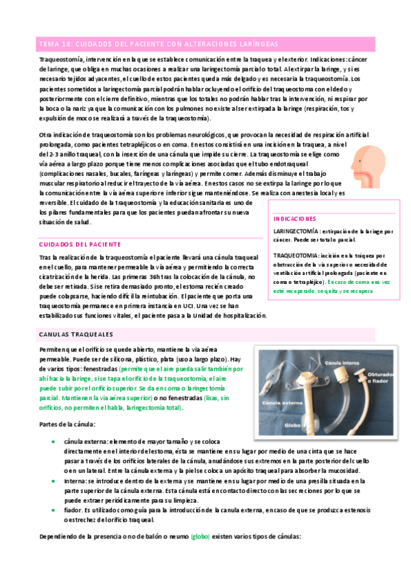 Miniatura del documento T18-EA-II.pdf
