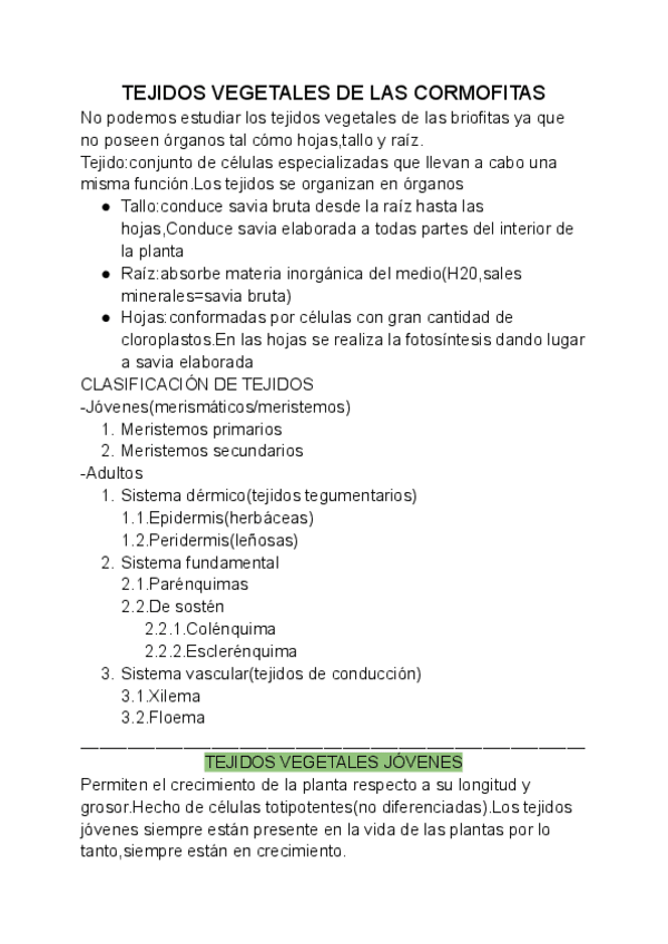 Miniatura del documento TEJIDOS-VEGETALES-DE-LAS-CORMOFITAS.pdf