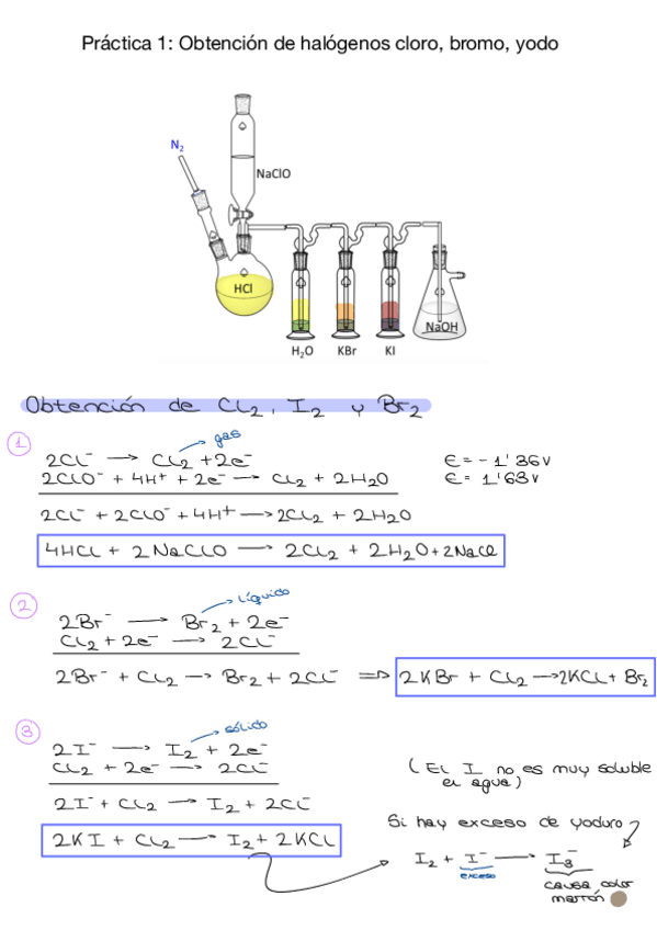 Miniatura del documento Practicas-laboratorio-1-2-y-3.pdf