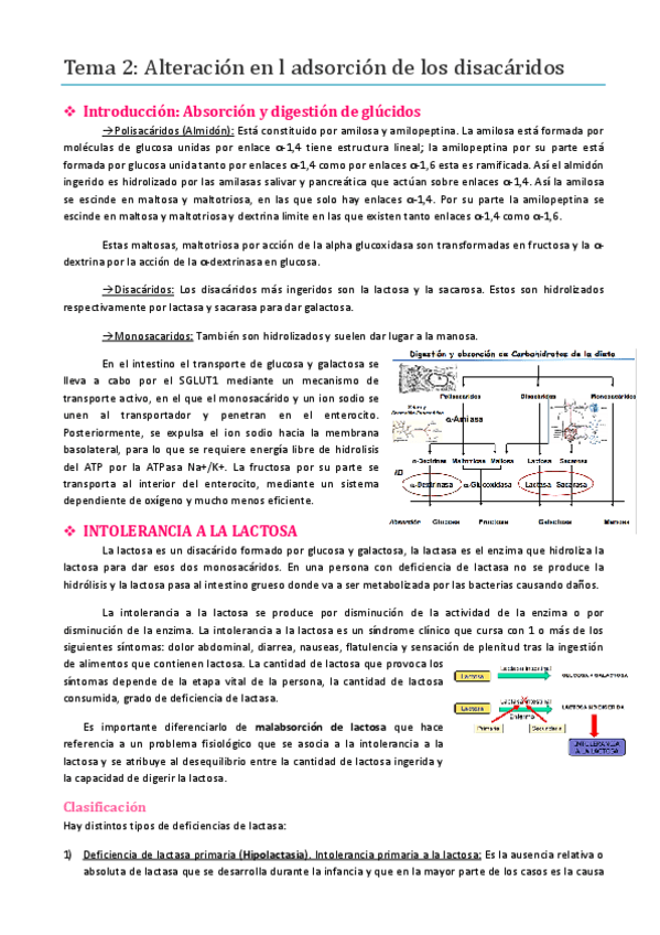Miniatura del documento TEMA 2.pdf