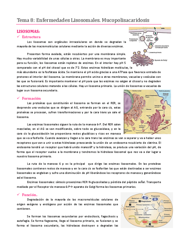 Miniatura del documento Tema 8.pdf