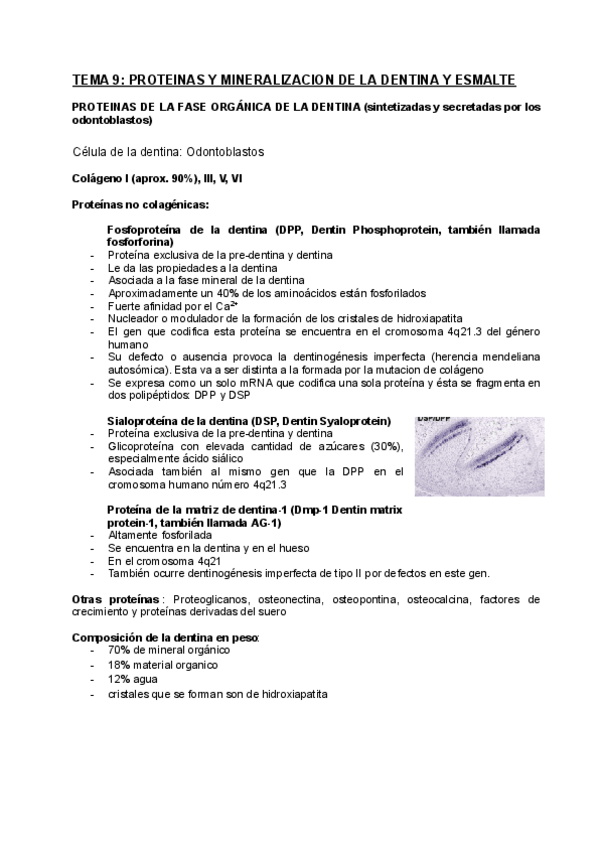 Miniatura del documento TEMA-9-Proteinas-y-mineralizacion-de-la-dentina-y-esmalte.pdf