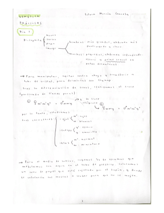 Miniatura del documento Practicas-Genetica.pdf