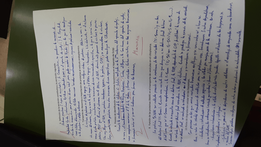 Miniatura del documento 1.jpg