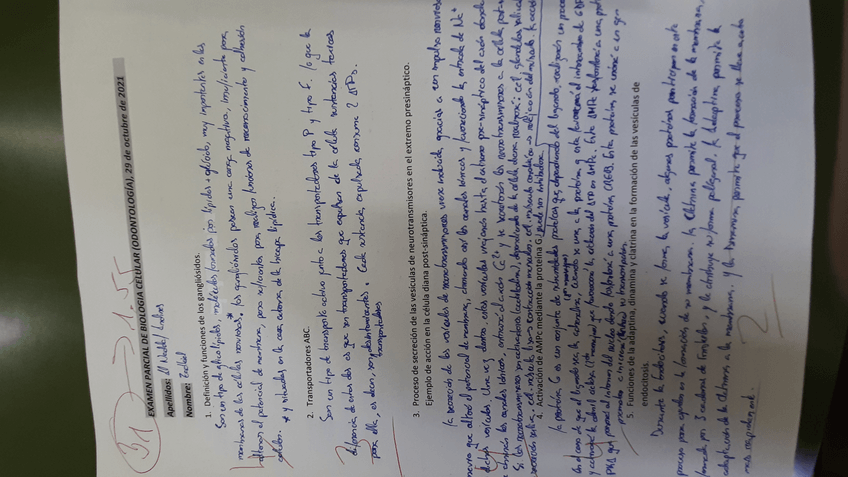 Miniatura del documento Parcial-2021-01.jpg