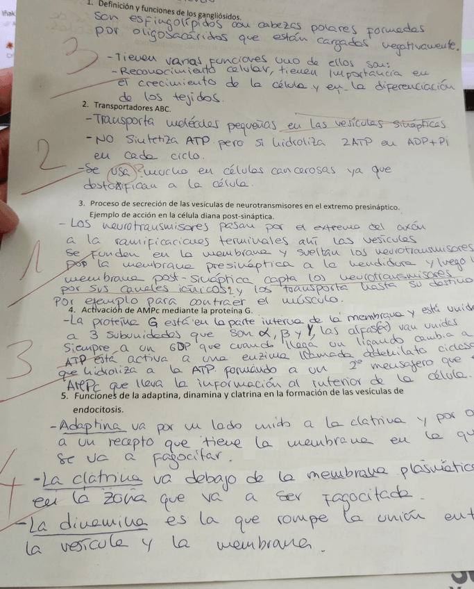 Miniatura del documento IMG-20221123-WA0019.jpg