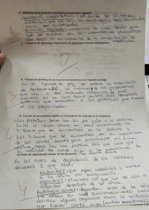 Miniatura del documento IMG-20221123-WA0018.jpg