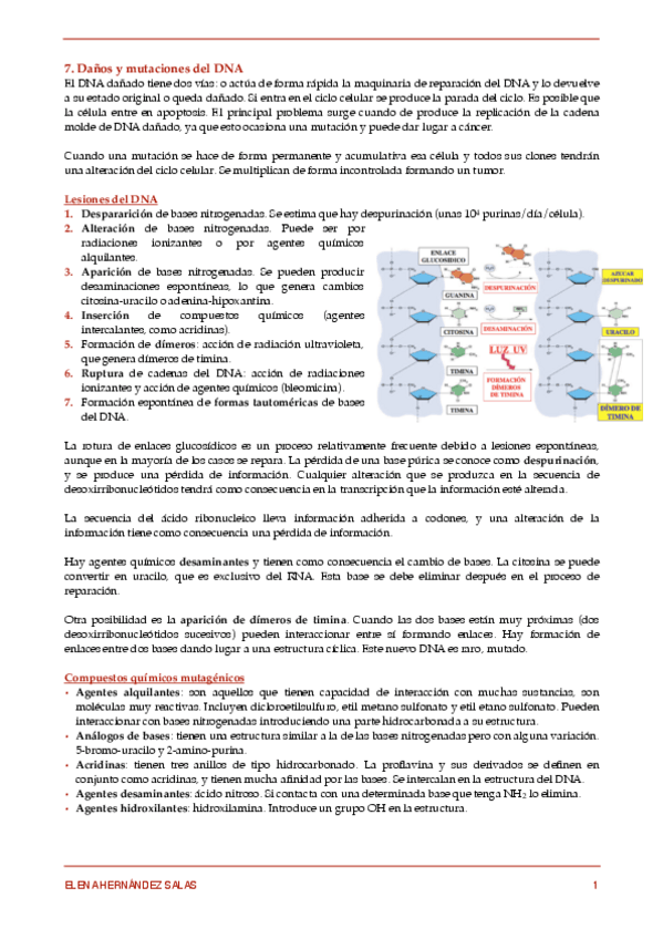 Miniatura del documento 7. Daños y mutaciones del DNA.pdf