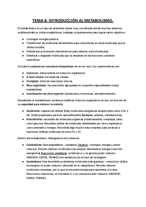 Miniatura del documento TEMA-6-Introduccion-al-Metabolismo.pdf