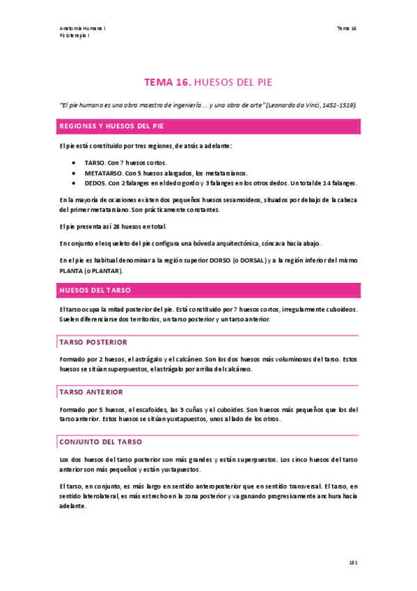 Miniatura del documento TEMA-16.-HUESOS-DEL-PIE.pdf