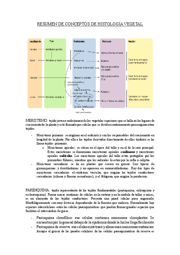 Miniatura del documento RESUMEN-DE-CONCEPTOS-DE-HISTOLOGIA-VEGETAL.pdf