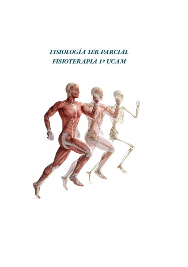 Miniatura del documento FISIOLOGIA-1ER-PARCIAL.pdf