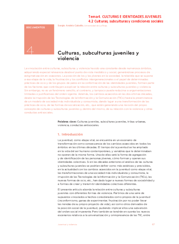 Miniatura del documento Tema5Culturassubculturasjuvenilesyviolencia.pdf