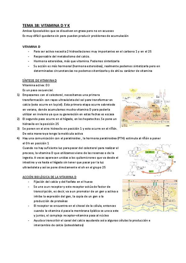 Miniatura del documento TEMA-38-VITAMINA-D-Y-K.pdf