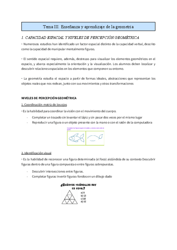 Miniatura del documento Tema-III-Ensenanza-y-aprendizaje-de-la-geometria.pdf