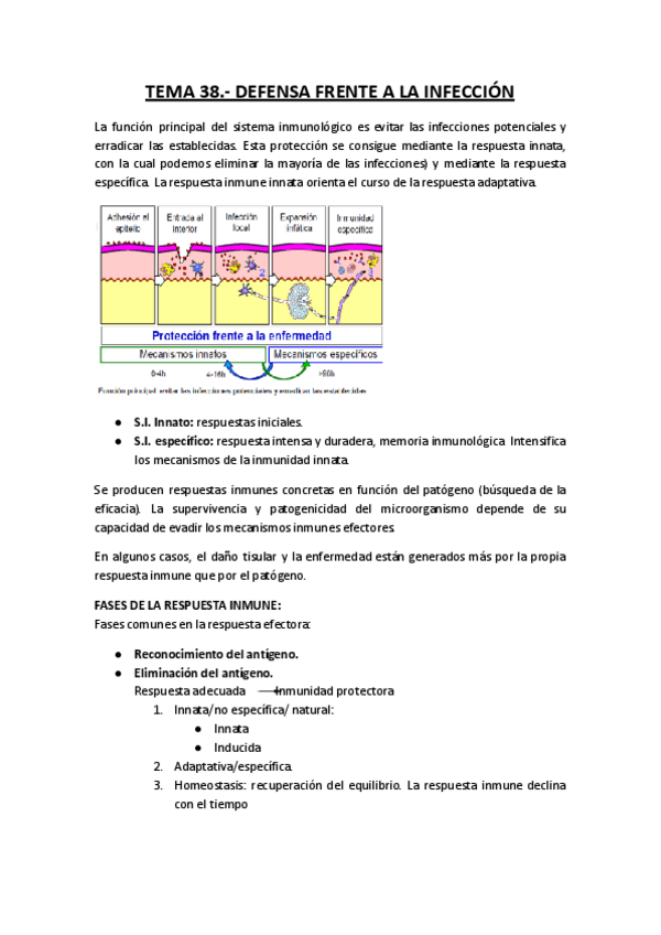 Miniatura del documento Copia-de-TEMA-38.-DEFENSA-FRENTE-A-LA-INFECCION.docx-copia.pdf