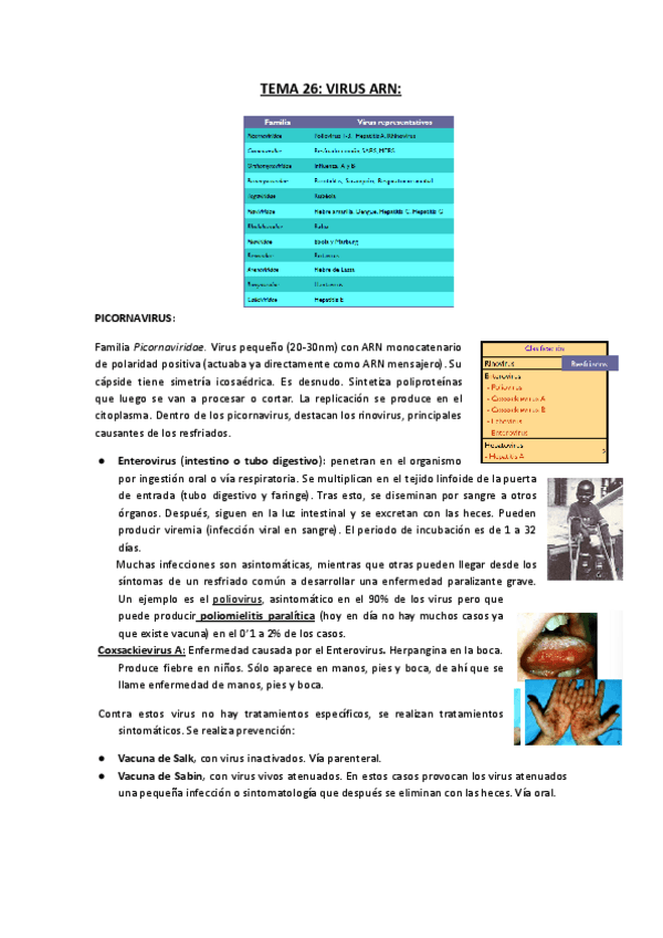 Miniatura del documento Copia-de-TEMA-26.-VIRUS-ARN.docx.pdf