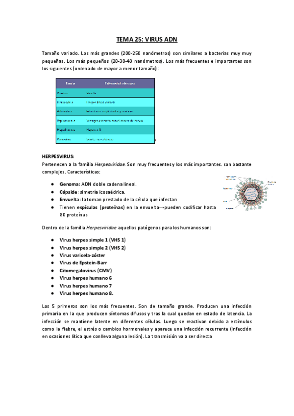 Miniatura del documento Copia-de-TEMA-25.-VIRUS-ADN.docx.pdf