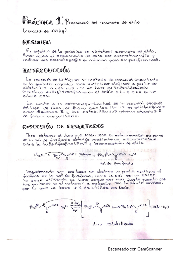 Miniatura del documento Informe-de-practicas-Wittig.pdf